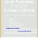 Atemberaubend Pflichtenheft Erp Vorlage 960x1453