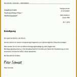 Angepasst Vorlage Vertragskündigung 832x874