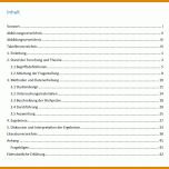 Phänomenal Gender Hinweis Bachelorarbeit Vorlage 789x748