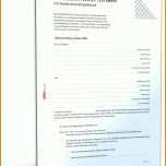 Neue Version Handschriftliches Testament Vorlage 1600x2100