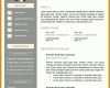 Toll Kreativer Lebenslauf Vorlage Word 736x1040