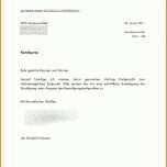 Singular Kündigung Internet Umzug Vorlage 1744x2308