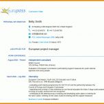 Bemerkenswert Lebenslauf Vorlage Europass 1183x1003