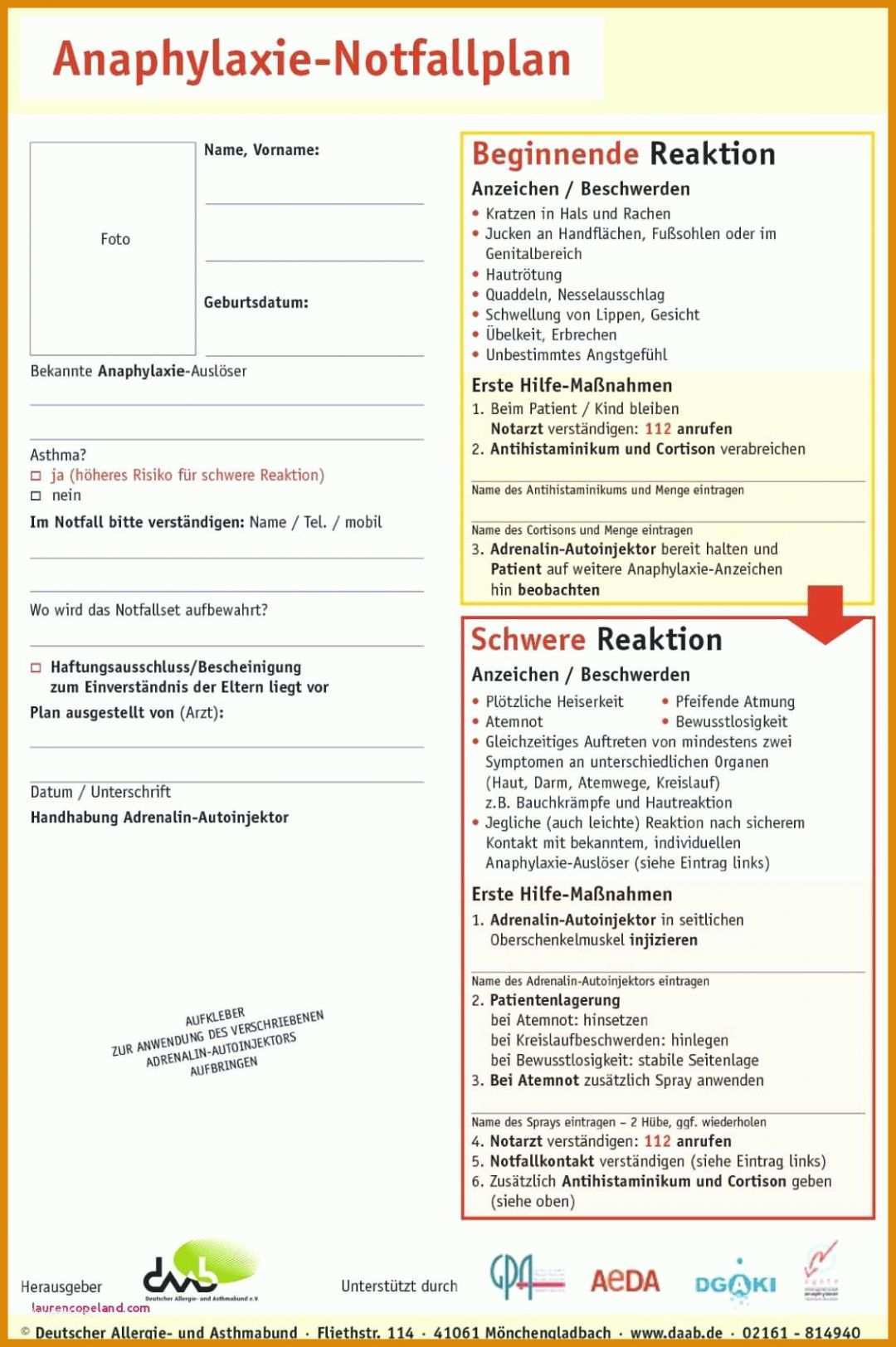 Schockieren Qm Handbuch Vorlage Kostenlos 1132x1701