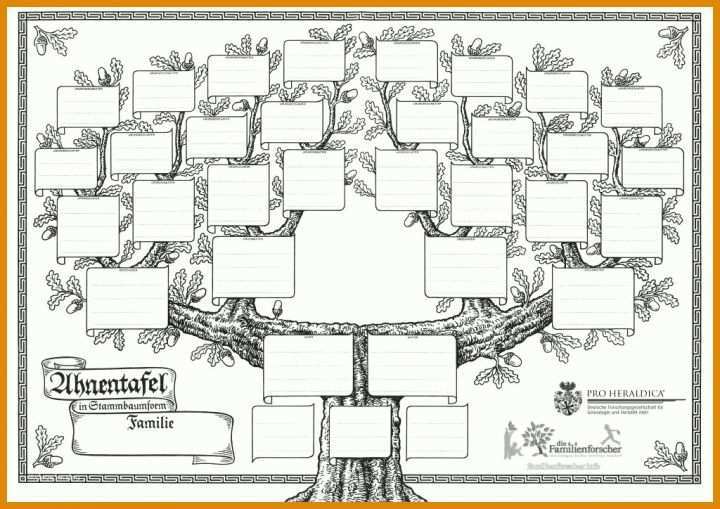 Exklusiv Stammbaum Zeichnen Vorlage 1024x724