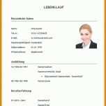 Ausnahmsweise Tabellarischer Lebenslauf Schüler Vorlage 724x824