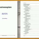 Kreativ Businessplan Vorlage Pdf Kostenlos 960x540