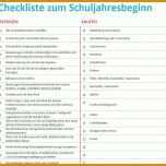 Großartig Checkliste Vorlage 828x767