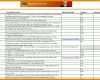 Perfekt Checkliste Vorlage Excel 971x595