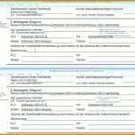 Wunderbar Fragebogen Vorlage Doc 1321x1132
