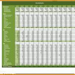 Tolle Haushaltsplan Excel Vorlage 1000x910