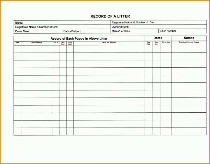 Sensationell Schichtplan Excel Vorlage 3 Schichten 3135x2448