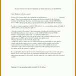 Fabelhaft Testament Vorlage Alleinerbe Pdf 728x942