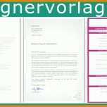Ideal Anschreiben Vorlage Praktikum 1024x559