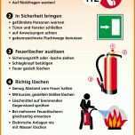 Überraschend Checkliste Brandschutz Im Büro Vorlage 1186x1776