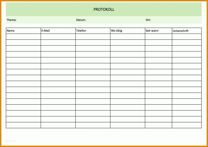 Singular Ergebnisprotokoll Vorlage Excel 1556x1096