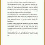 Singular Fazit Bachelorarbeit Vorlage 728x1030