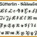 Angepasst Kalligraphie Schrift Vorlagen 736x458