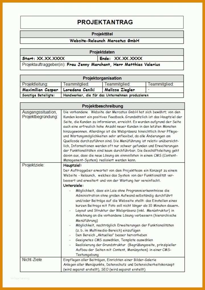 Erschwinglich Projektantrag Vorlage 794x1122