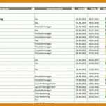 Allerbeste Projektstrukturplan Vorlage Excel Kostenlos 901x396