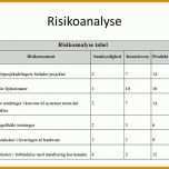 Hervorragen Risikoanalyse Vorlage 960x720