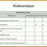 Hervorragen Risikoanalyse Vorlage 960x720