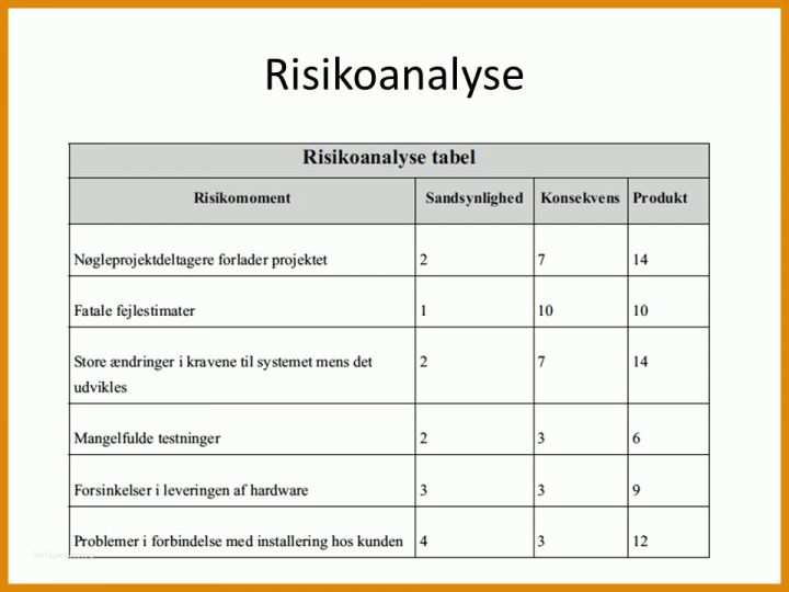 Hervorragend Risikoanalyse Vorlage 960x720