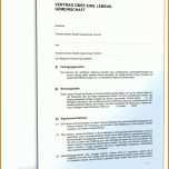 Rühren Wohngemeinschaft Vertrag Vorlage 1600x2100