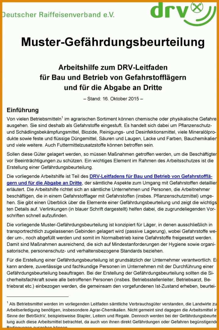 Original Gefährdungsbeurteilung Vorlage Pdf 960x1445