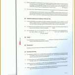 Einzahl Gmbh Geschäftsführervertrag Vorlage 1600x2100