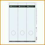 Selten Leitz 1687 Vorlage Word 960x960