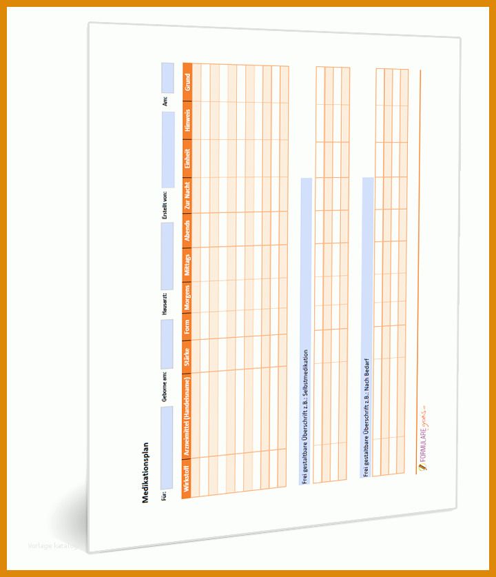 Hervorragen Medikationsplan Vorlage 720x837