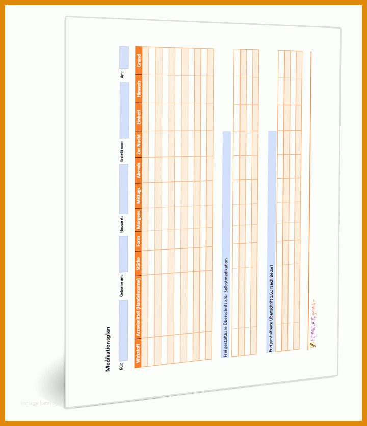 Hervorragen Medikationsplan Vorlage 720x837