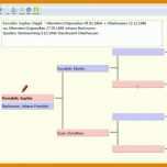 Limitierte Auflage Stammbaum Vorlage Excel 800x448