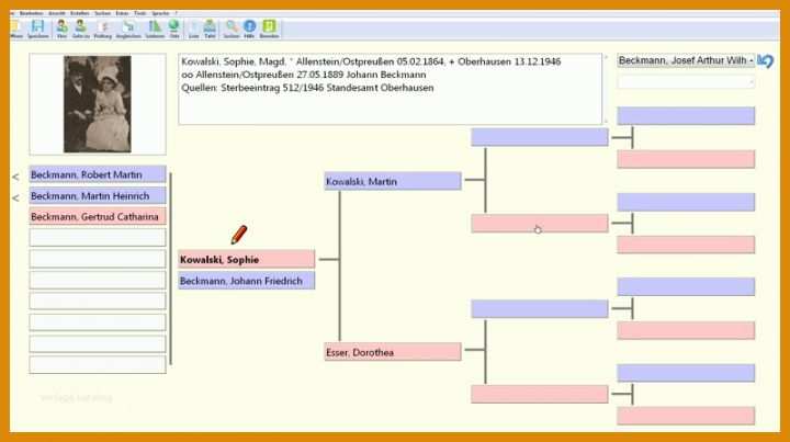 Beeindruckend Stammbaum Vorlage Excel 800x448