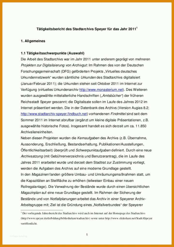 Wunderschönen Tätigkeitsbericht Vorlage 728x1031