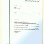 Modisch Unfallbericht Vorlage Pdf 1600x2100
