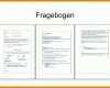 Phänomenal Vorlage Fragebogen Word 728x546