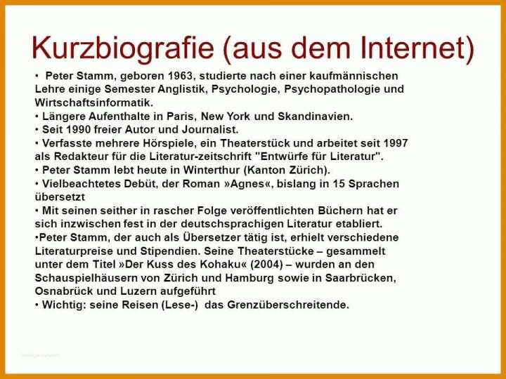 Einzahl Biografie Vorlage 960x720