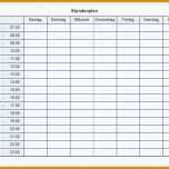 Limitierte Auflage Dienstplan Vorlage Pdf 1356x954