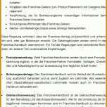 Hervorragen Franchise Handbuch Vorlage 960x1573