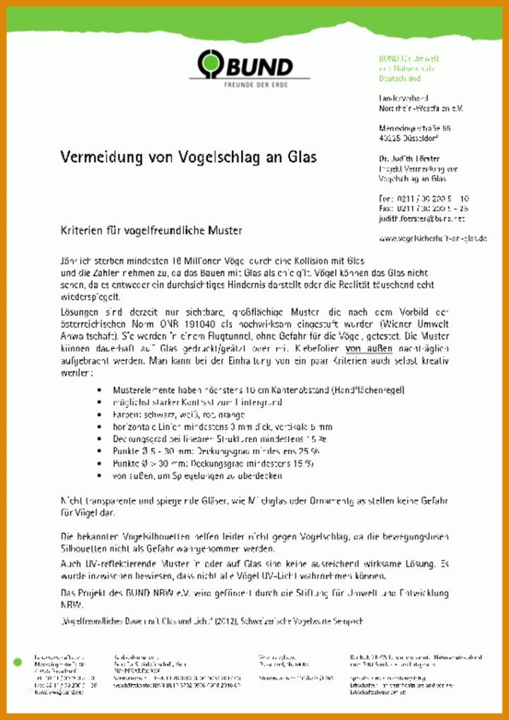 Faszinieren Handout Vorlage 764x1080