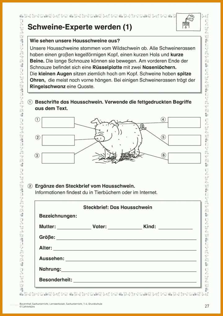 Kreativ Lesetagebuch Vorlage Zum Ausdrucken 905x1281