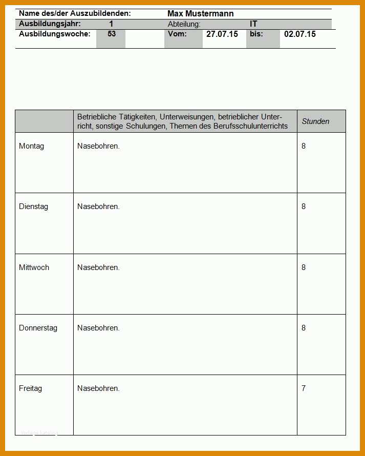 Modisch Berichtsheft Vorlage Pdf 713x890