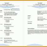 Ungewöhnlich Cv Englisch Vorlage 982x692