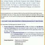 Spezialisiert Kündigung Telefon Vorlage 1200x2065