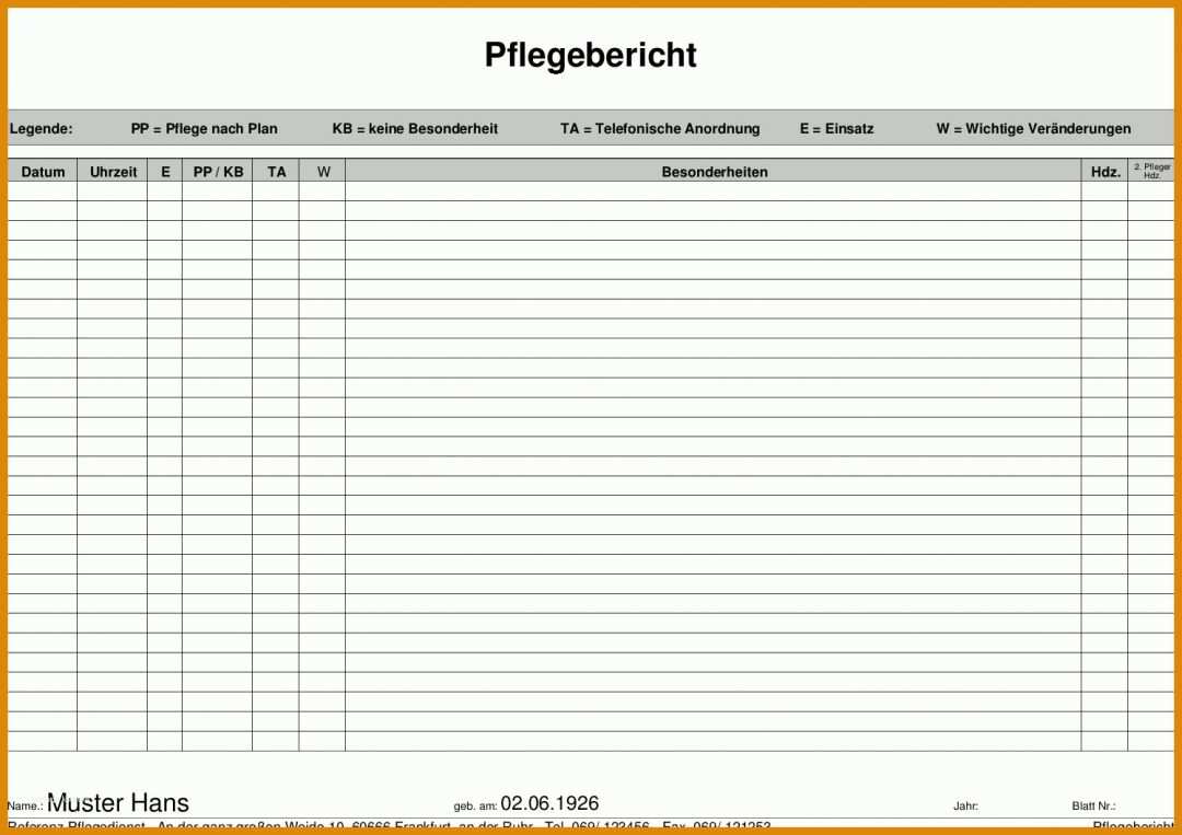 Faszinieren Pflegebericht Vorlage 1497x1058