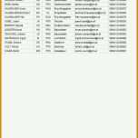 Singular Projekthandbuch Vorlage 960x1474