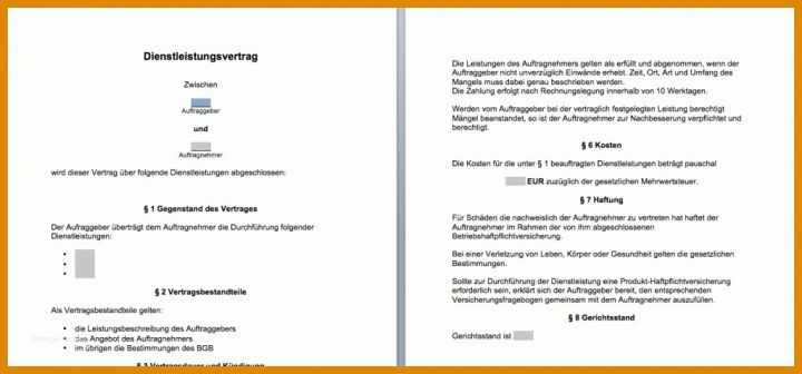 Einzahl Reinigungsvertrag Vorlage 1024x478