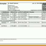 Modisch Vorlage Medikationsplan 716x515